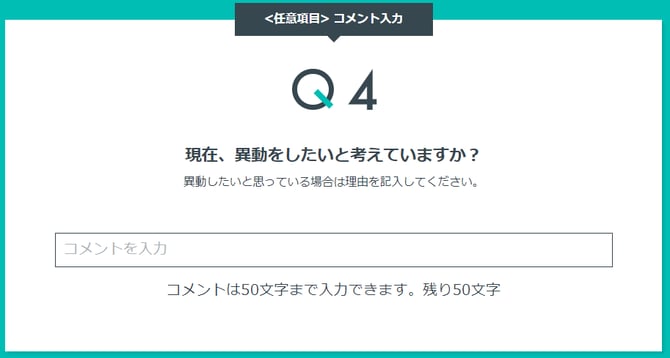 extra_questions_text